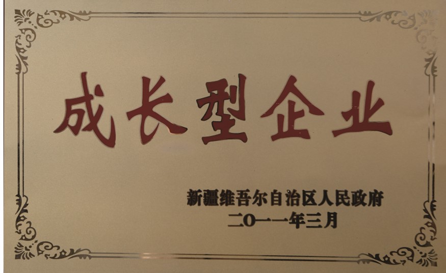 成長(zhǎng)型企業(yè)